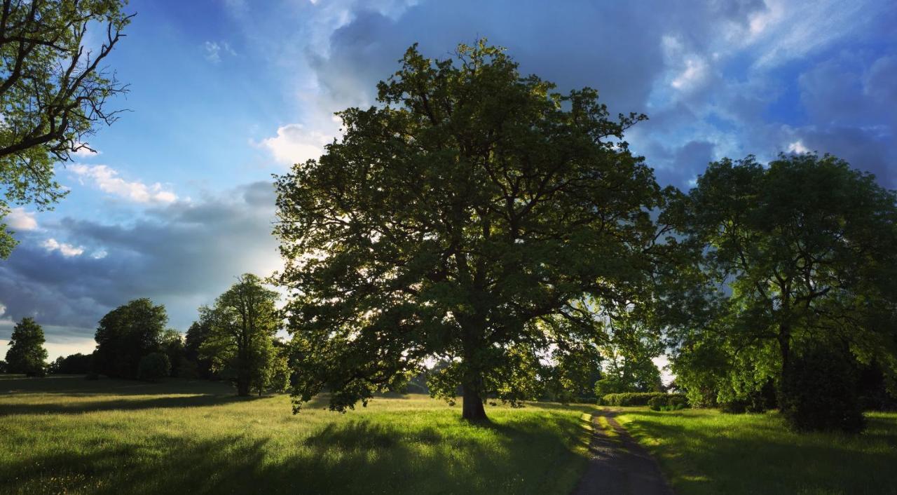 La Tiny Du Parc : Saint Symphorien Des Monts Villa Ernee Bagian luar foto